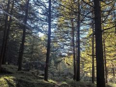 -苏木山森林公园