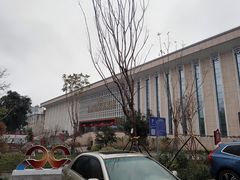 -广西壮族自治区博物馆