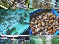 -班赞海鲜市场