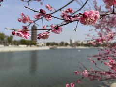 -葛仙湖公园