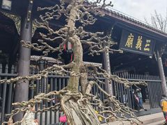 -成都武侯祠博物馆