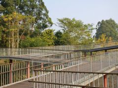 -白鹭湾湿地公园