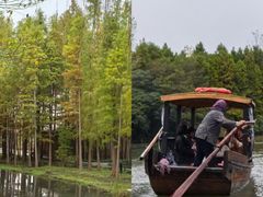 -溱湖国家湿地公园