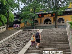 -张鸟园农家乐(张鸟园店)