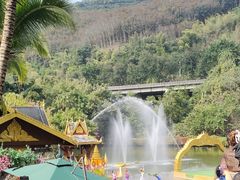 -西双版纳原始森林公园