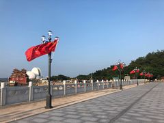 -野狸岛
