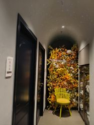 -伊然美产后恢复中心(海珠妇幼店)