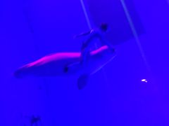 -芜湖新华联大白鲸海洋公园