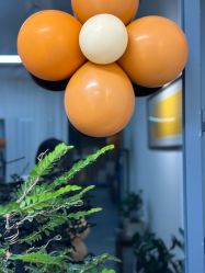 -童话气球party布置宝宝宴生日求婚派对(厦门店)