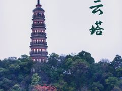 -顺峰山公园