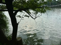 -东湖落雁景区
