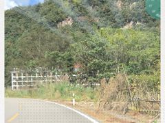 -龙湾潭国家森林公园