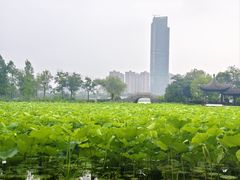 -高子水居