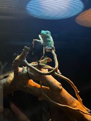 点击看大图 -Zoolung Zoolung动物主题公园(海信广场店)