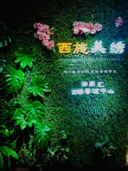 -西施无菌半永久纹绣眉眼影唇轻增发纹发际线