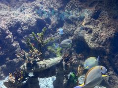 -南昌融创海世界
