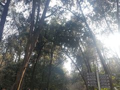-云龙山
