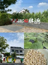 -水八仙生态园