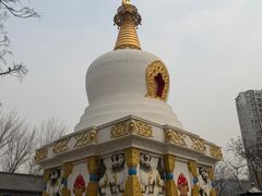 -护国法轮寺