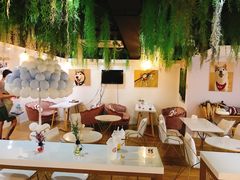 店内布置-Husky Go! 哈士奇体验馆·宠物咖啡厅狗咖