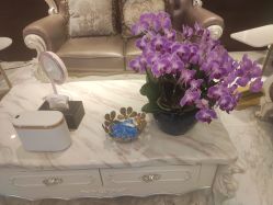 -洁铭新加坡医美