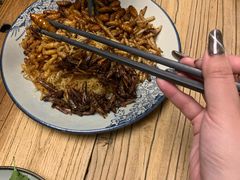 昆虫总动员-缘生态云南菜·野生菌庭院餐厅(华侨城店)