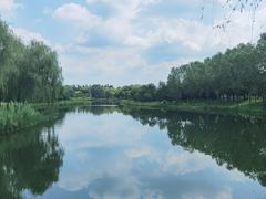 -东郊湿地公园