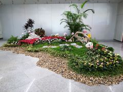 -福州长乐国际机场