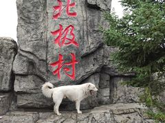 -北极村旅游风景区