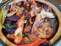 -霞姐屯昌枫木香草鸭店(海螺店)