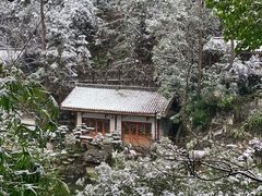 -南山植物园