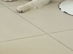 -怪兽屋·羊驼·猫咖·狗咖(俊华广场店)