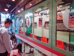 -猫咪博物馆(顶澳仔猫街店)