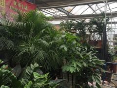 -秦美花卉(天朗·莱茵小城2期店)