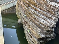 -南京市江宁方山