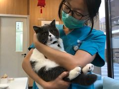 -爱妮康宠物医院·干细胞免疫细胞·肿瘤·心脏(张江店)