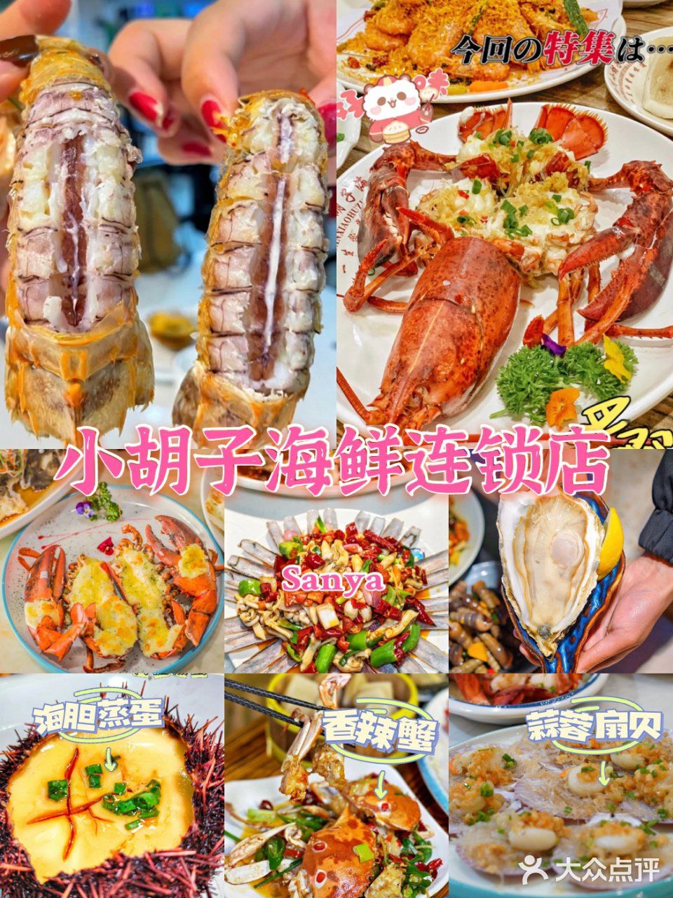三亚美食/美景与美味共享，就在小胡子