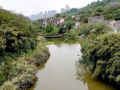 -张坝桂圆林公园