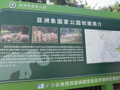 -野象谷景区