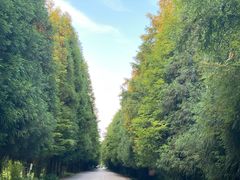-山王坪喀斯特国家生态公园