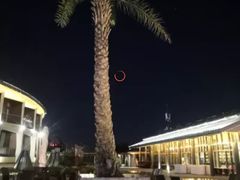 -北京云瑧金陵莲花酒店·莲·川小馆