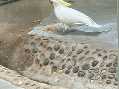 -石家庄市动物园