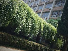 -四川大学(望江校区)