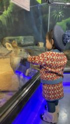 -未来动物城动物主题公园(大悦城店)