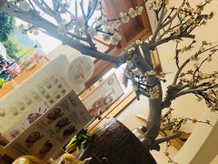 -不凡脑禅境·养生·舒压调理SPA(华发世纪城店)