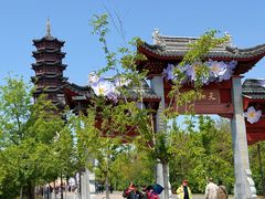 -江苏三台山国家森林公园