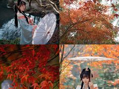 -田野绿世界