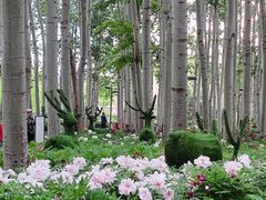 -仁和公园(顺义区)