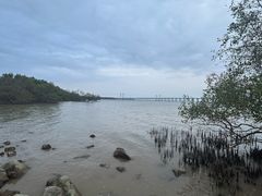 -宝安西湾红树林湿地公园