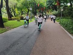 -顺峰山公园